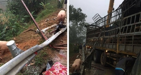 Không có chuyện “hôi” lợn khi ô tô bị lật ở Lạng Sơn