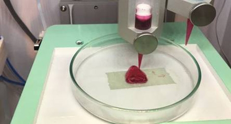 Phát triển công nghệ in sinh học 3D