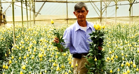 80 năm làng hoa Hà Nội giữa Đà Lạt