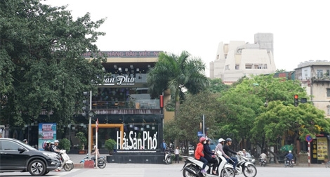 Yêu cầu thu hồi sổ đỏ mương Phan Kế Bính, Nghĩa Đô