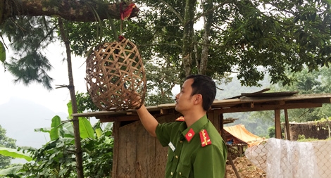 Vụ án đồng rừng và chiếc lồng gà đón sóng điện thoại