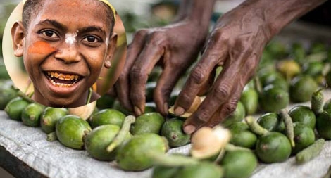 Hệ lụy từ tục nhai trầu