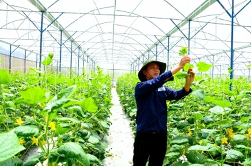 Tinh thần “startup”: bại không nản