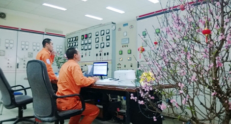 EVN cấp điện an toàn, ổn định trong dịp Tết