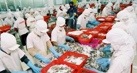 Mỹ, Trung, Nhật và Hàn nhập khẩu nhiều thủy sản Việt Nam