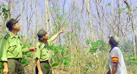 Chủ động phòng chống cháy rừng trong mùa khô