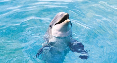 Thứ tiếng cổ nhất thế giới