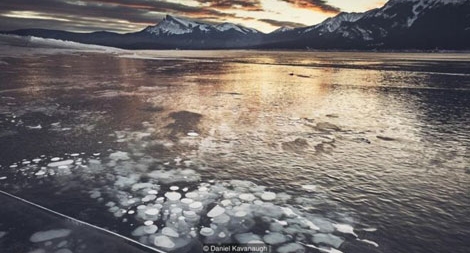 Kỳ thú hồ băng bong bóng