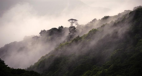 Vì sao lăng mộ Lưu Bị và Tôn Quyền không được khai quật?