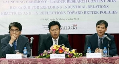 Thi nghiên cứu, tìm hiểu quan hệ lao động