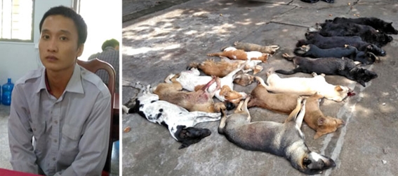 Chốt chặn nam thanh niên “bất minh” chở 15 xác con chó, mèo