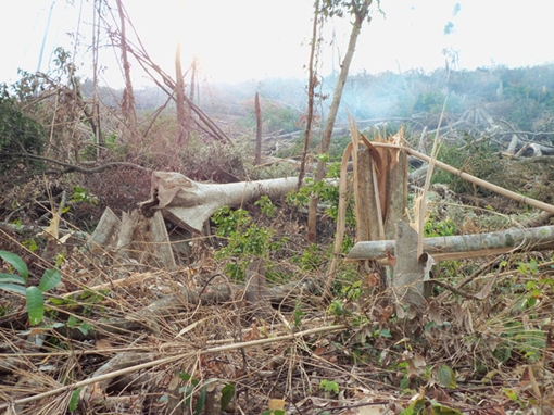 Đắk Nông kỷ luật hàng loạt cán bộ