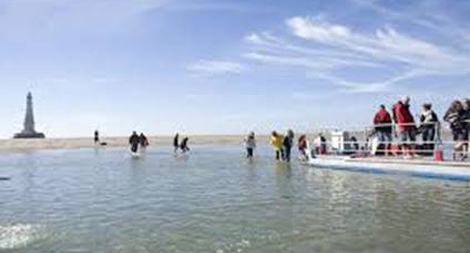 Vua của các ngọn hải đăng ở Pháp