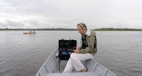 Ô nhiễm âm thanh đe dọa sinh vật biển