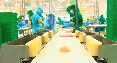 Công ty I.D.I và mục tiêu phát triển bền vững