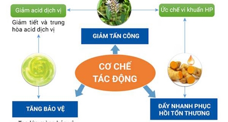 Sự thật ít người biết để tránh tái phát viêm dạ dày