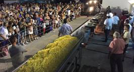 Lượng khoai tây rán kỷ lục