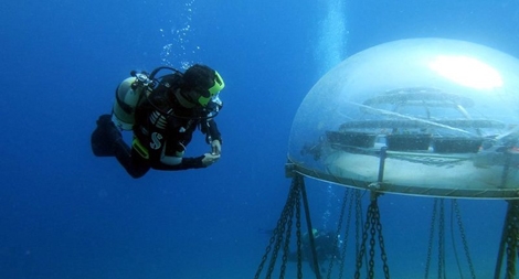 Trang trại nông nghiệp dưới biển đầu tiên trên thế giới