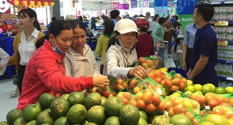 Nhiều cảnh báo cho nông sản Việt tại thị trường EU