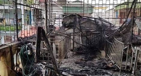 30 con chó tây bị thiêu chết trong ngôi nhà 3 tầng bị cháy