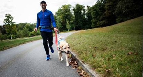 Công nghệ huấn luyện chó dẫn đường cho người khiếm thị