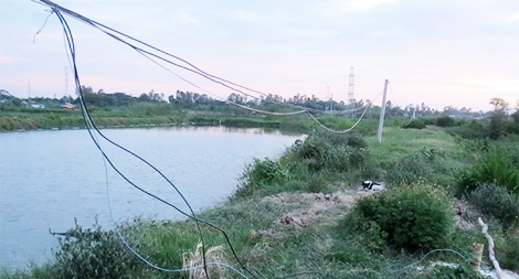 Mẹ chết thảm vì vướng vào dây điện bẫy chuột của con trai