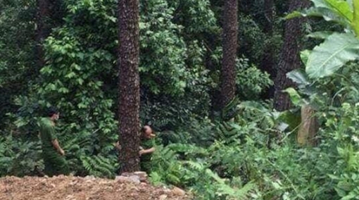 Chuyến đi Tam Đảo định mệnh của đôi nam nữ ngày cuối tuần