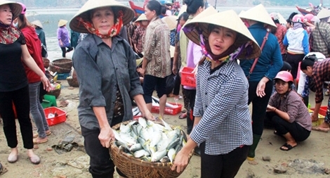 Ngư dân gặp khó khăn khi tàu giã cào “càn quét” biển gần bờ