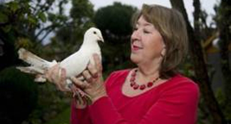 Chú chim câu sống lâu nhất