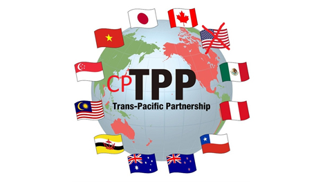Cần chuẩn bị kỹ những thách thức, khó khăn khi phê chuẩn Hiệp định CPTPP