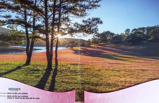 Ban tổ chức Mùa hội cỏ hồng Langbiang bị “tố” sử dụng hình ảnh trái phép