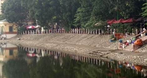 Đi dạo hồ, bị chó Pitbull  tấn công