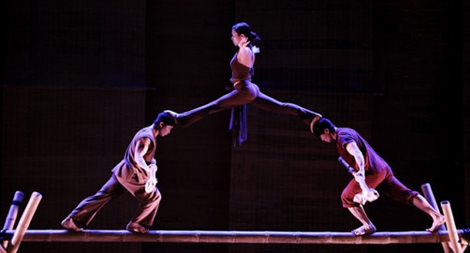 Xiếc Việt: Nhìn đâu cũng khó!