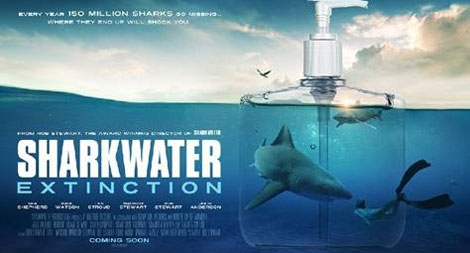 Cuộc chiến bảo vệ cá mập