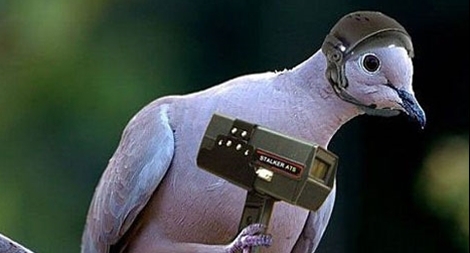 Những “điệp viên” động vật