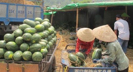 Nhiều giải pháp nâng cao giá trị xuất khẩu nông sản Việt