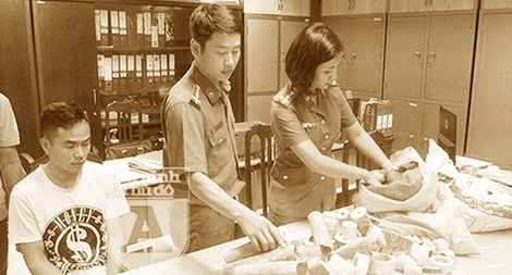 Cảnh báo tình trạng mua bán ngà voi tại các làng nghề