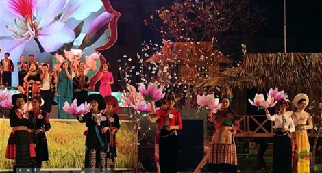 Nhiều điểm nhấn trong Lễ hội hoa ban năm 2019