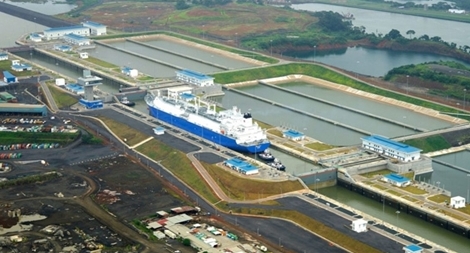 Mạch máu của biển trong thế giới đầy biến động