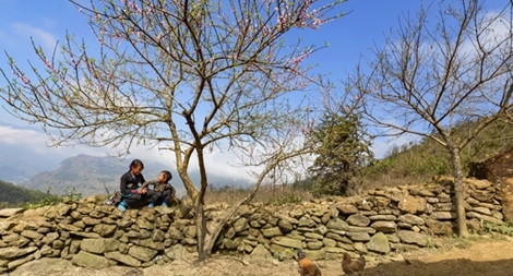 Bịn rịn Tết xưa