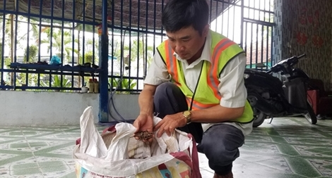 Lặng lẽ tô điểm cho cuộc sống bình yên