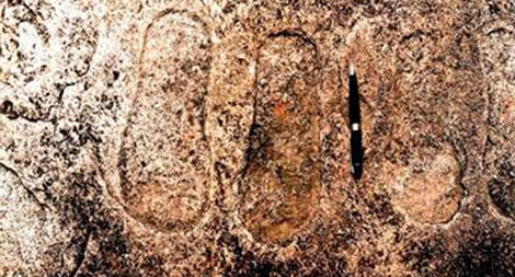 Người khổng lồ: Truyền thuyết và khoa học