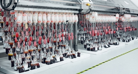 Máu người trong lịch sử y học