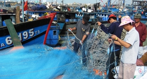 Ngư dân Đà Nẵng “bội thu” hải sản chuyến biển cuối năm
