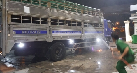 Tăng cường chống dịch tả lợn châu Phi