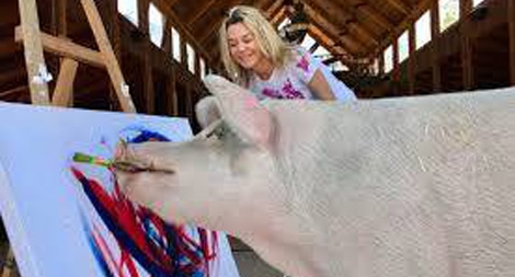 Chú lợn biết vẽ