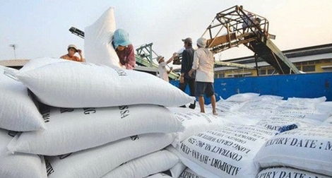 Philippines bỏ hạn ngạch nhập gạo, cơ hội lớn cho doanh nghiệp Việt