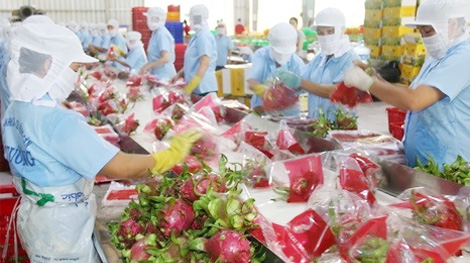 Xuất khẩu sang thị trường Trung Quốc có nhiều thuận lợi