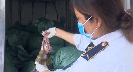 Mang 2 tấn lòng lợn đã bốc mùi hôi thối đi tiêu thụ