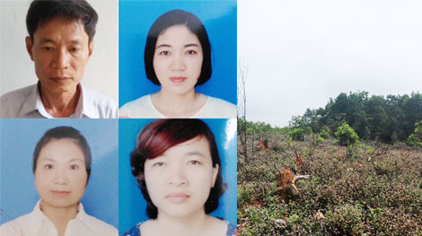 Khởi tố 4 cựu cán bộ Ban quản lý rừng phòng hộ huyện Quỳnh Lưu